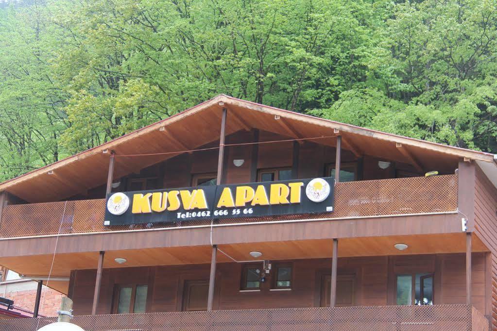 Aparthotel Kusva *